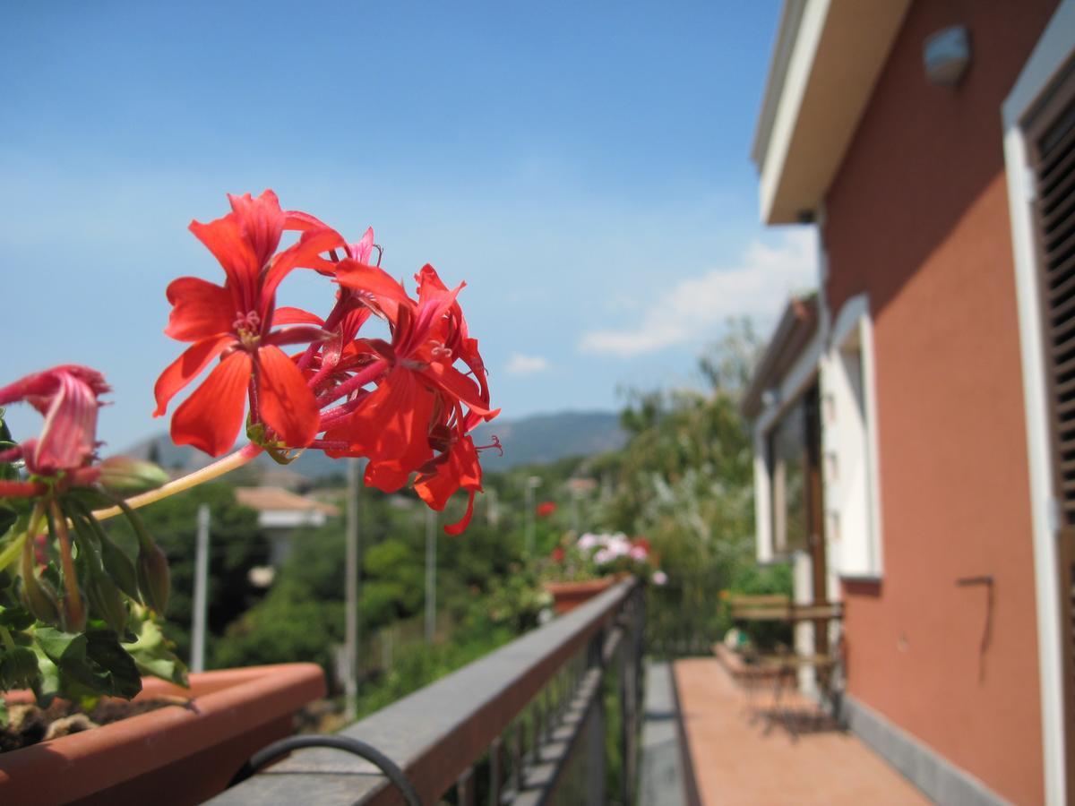 Anthea Dell' Etna Bed & Breakfast Santa Venerina Exterior photo